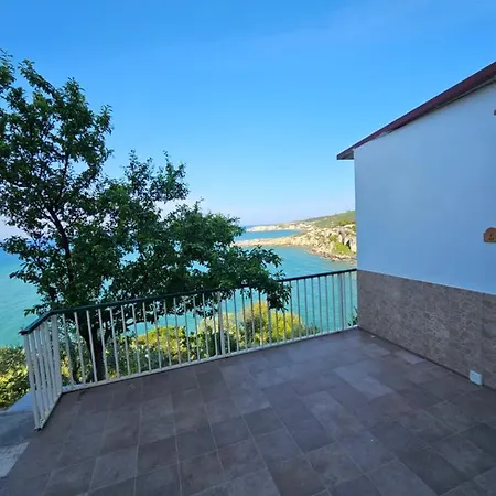 Tuppo Delle Pile Seaview